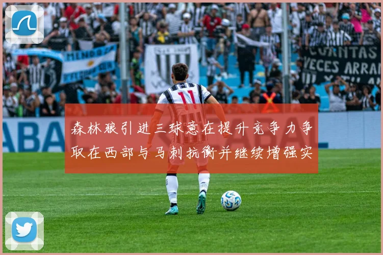 森林狼引进三球意在提升竞争力争取在西部与马刺抗衡并继续增强实力